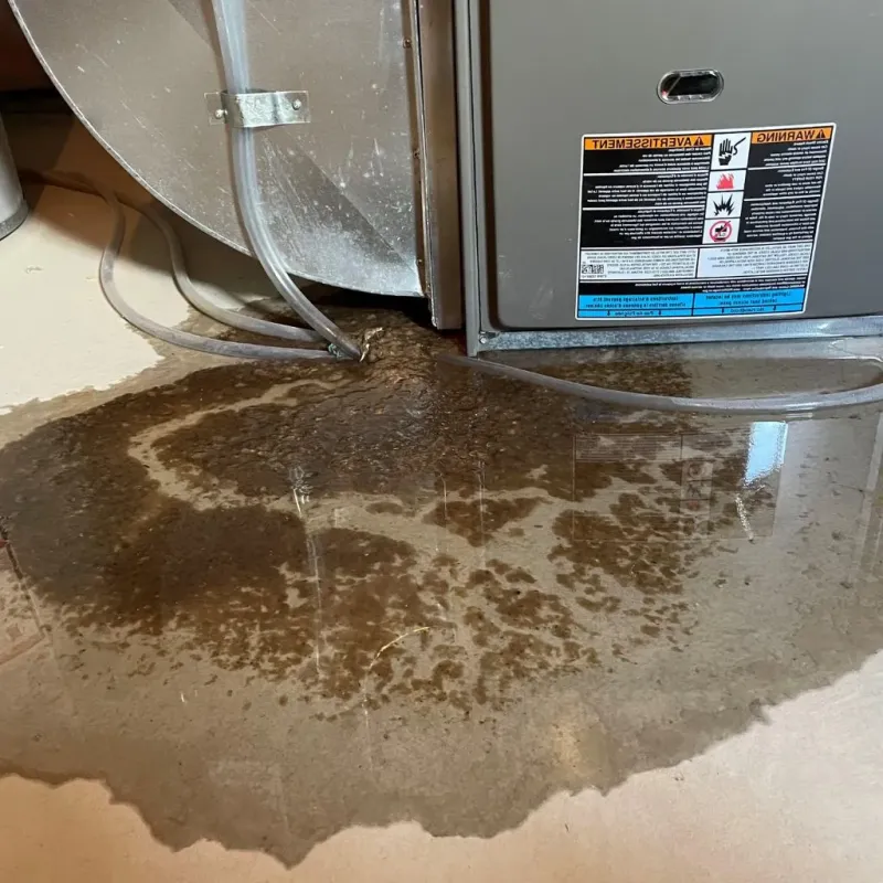 Pipe Burst and Leak Restoration in Oak Forest, IL